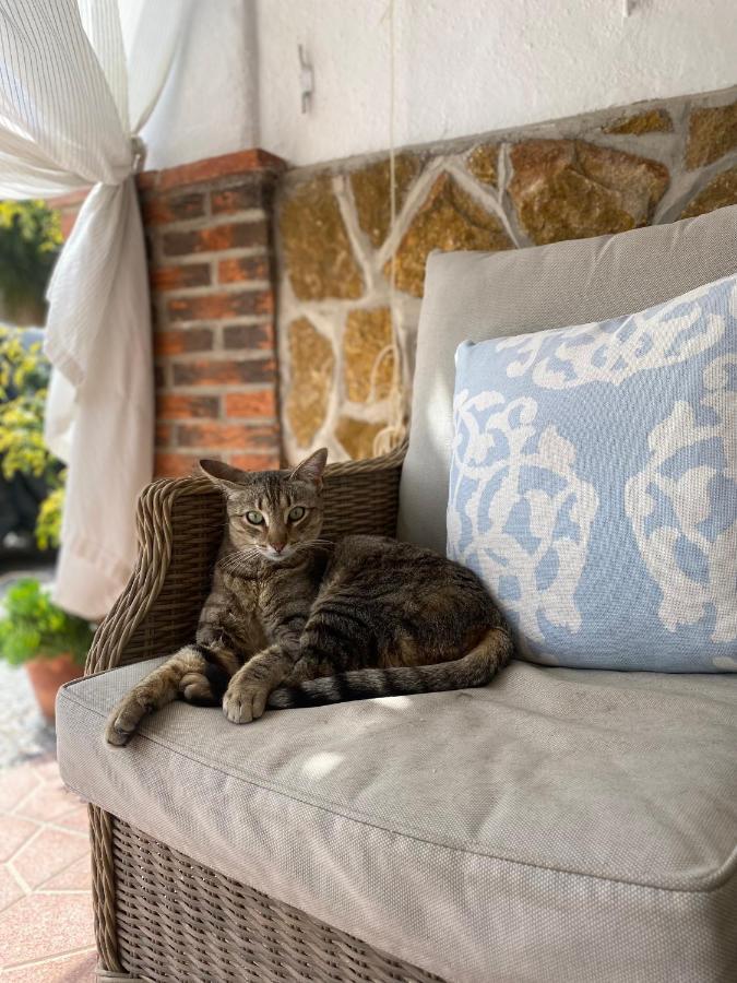 Cortijo Perejil, A Tranquil Mountain Escape & Private Pool Apartment Oria Exterior photo